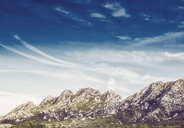 电话验证码轰炸平台